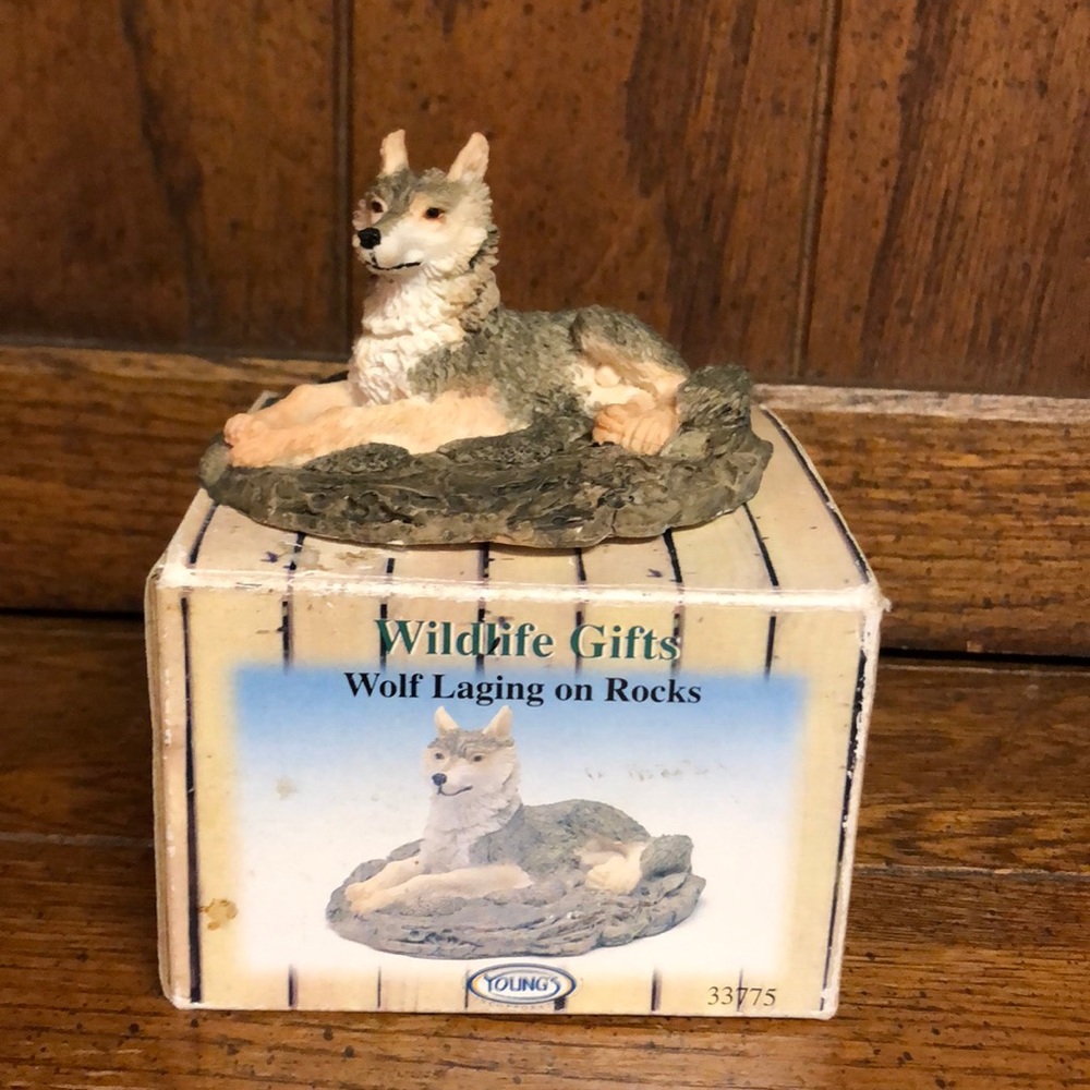 NIB Wolf Laging on Rock